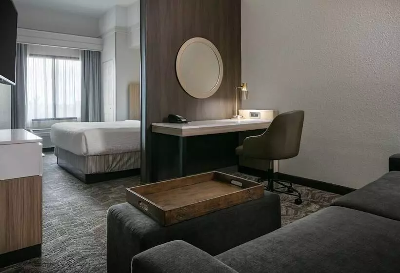 スタンダードスタジオ, Springhill Suites By Marriott Cheyenne