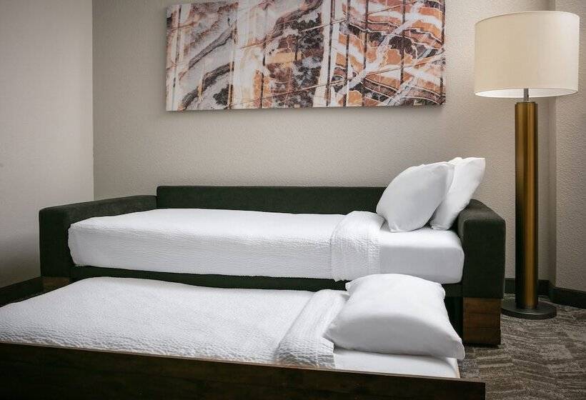 استودیوی استاندارد, Springhill Suites By Marriott Cheyenne