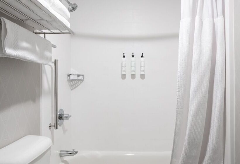 إستوديو قياسى, Springhill Suites By Marriott Cheyenne