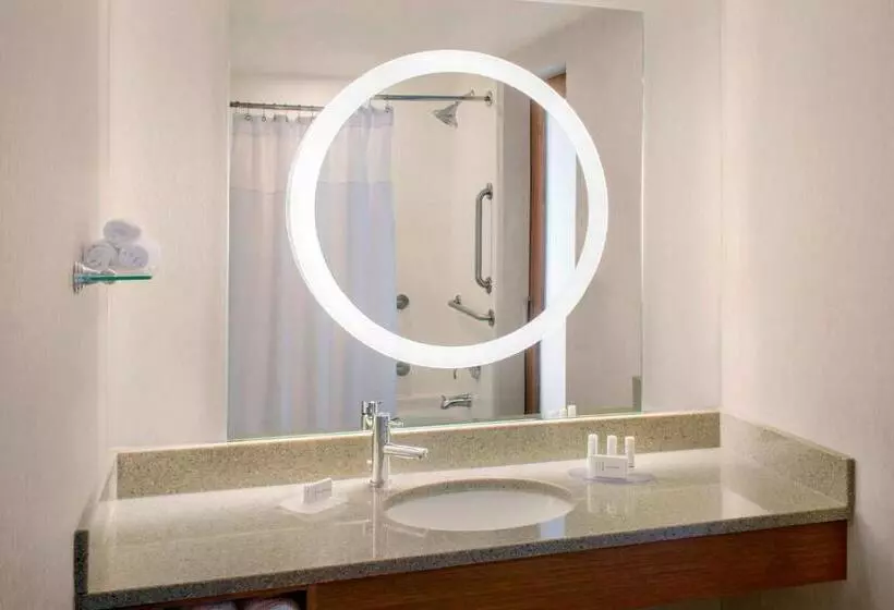キングサイドベッドのスタンダードワンルーム, Springhill Suites Long Island Brookhaven