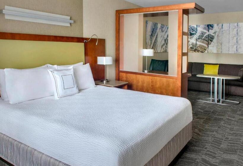 带大床的标准工作室, Springhill Suites Long Island Brookhaven