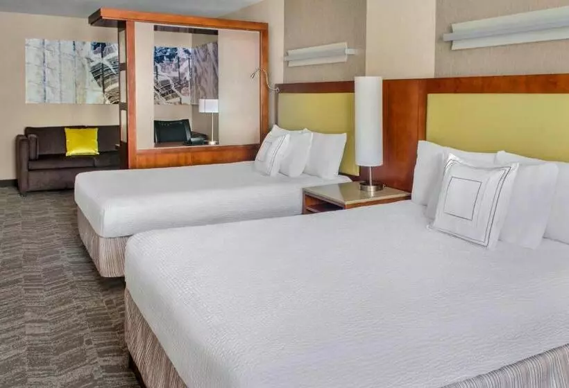スタンダードスタジオ, Springhill Suites Long Island Brookhaven