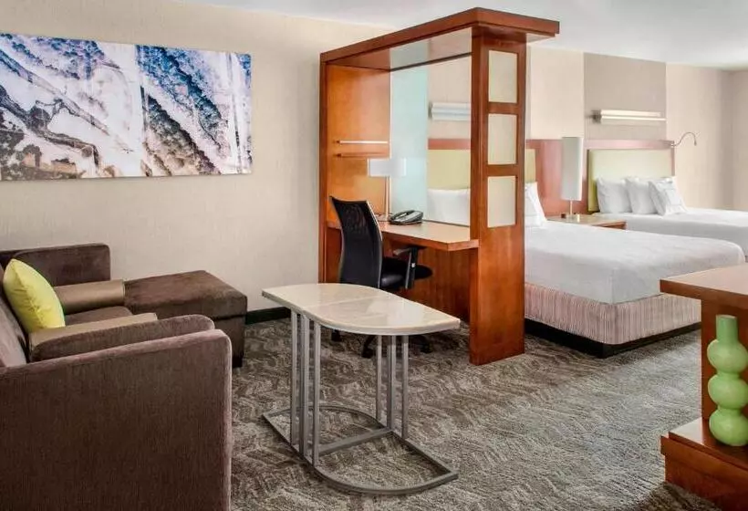 スタンダードスタジオ, Springhill Suites Long Island Brookhaven