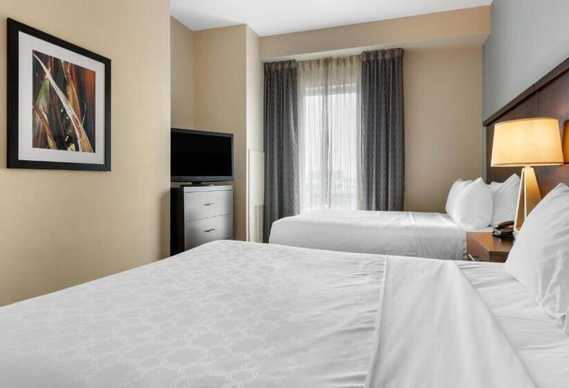 スイート, Staybridge Suites St. Petersburg Fl, An Ihg