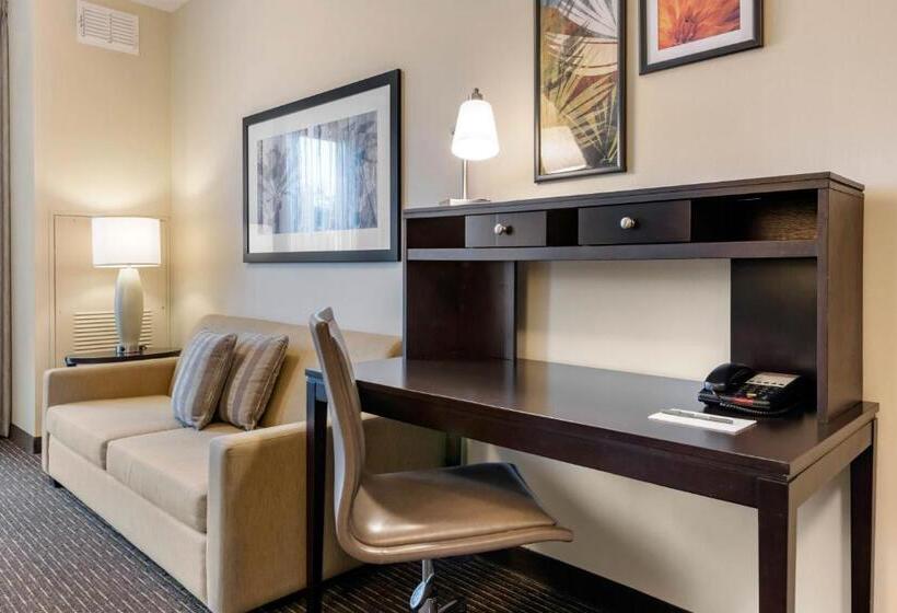 Люкс, Staybridge Suites St. Petersburg Fl, An Ihg