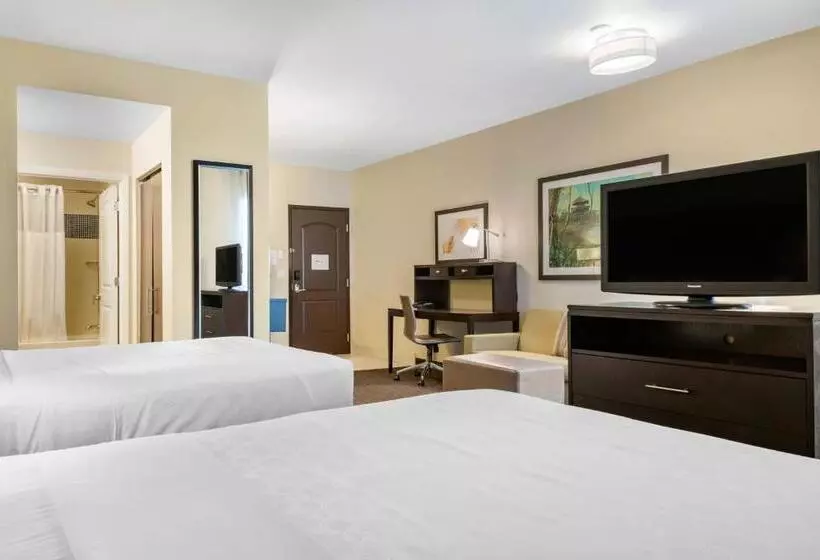 スタンダードルーム, Staybridge Suites St. Petersburg Fl, An Ihg