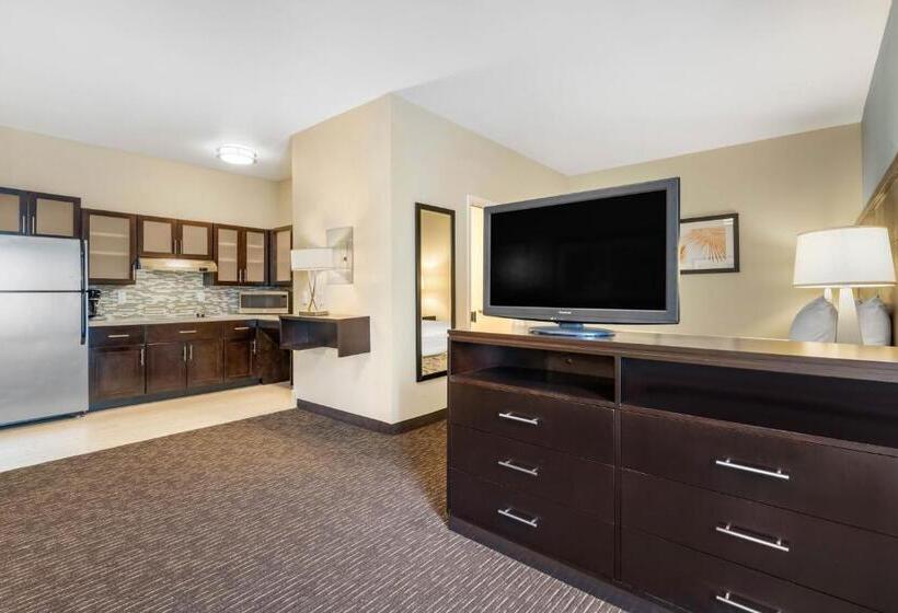 スタンダードルーム, Staybridge Suites St. Petersburg Fl, An Ihg