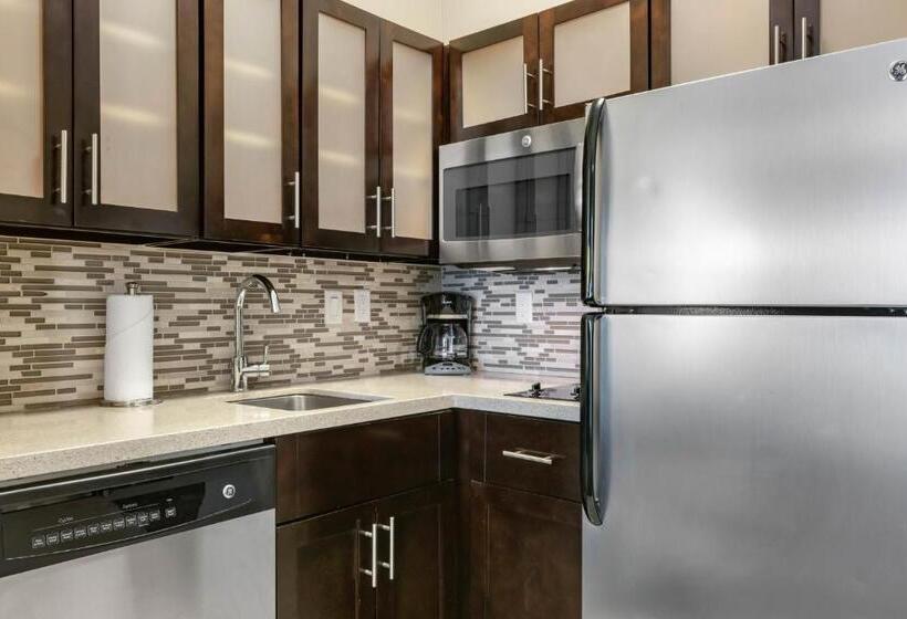 スタンダードルーム, Staybridge Suites St. Petersburg Fl, An Ihg