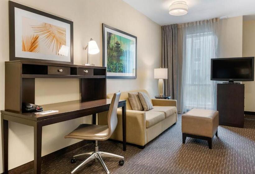 キングサイズベッドのデラックススイート, Staybridge Suites St. Petersburg Fl, An Ihg