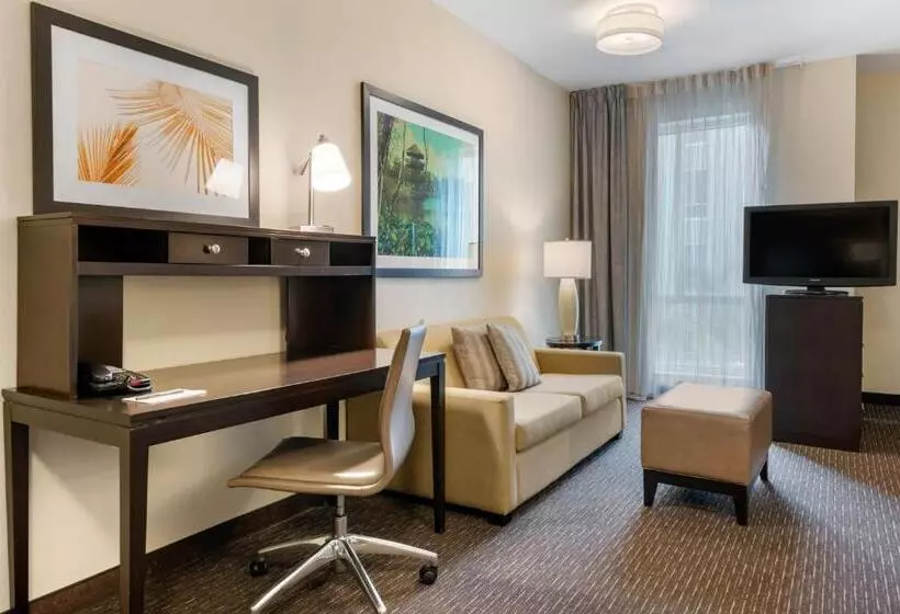 キングサイドベッドのスタンダードワンルーム, Staybridge Suites St. Petersburg Fl, An Ihg