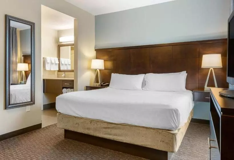 キングサイドベッドのスタンダードワンルーム, Staybridge Suites St. Petersburg Fl, An Ihg