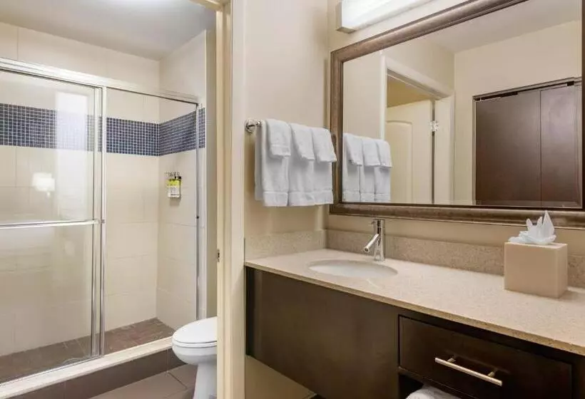 キングサイドベッドのスタンダードワンルーム, Staybridge Suites St. Petersburg Fl, An Ihg