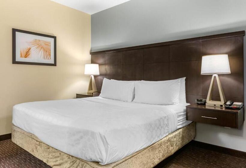 キングサイドベッドのスタンダードワンルーム, Staybridge Suites St. Petersburg Fl, An Ihg