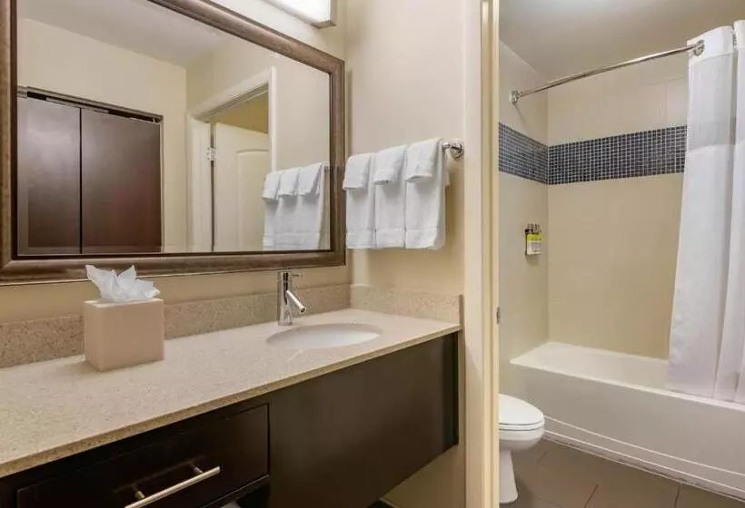 キングサイドベッドのスタンダードワンルーム, Staybridge Suites St. Petersburg Fl, An Ihg