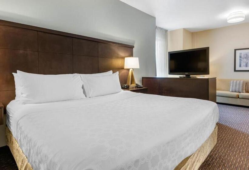 キングサイドベッドのスタンダードワンルーム, Staybridge Suites St. Petersburg Fl, An Ihg