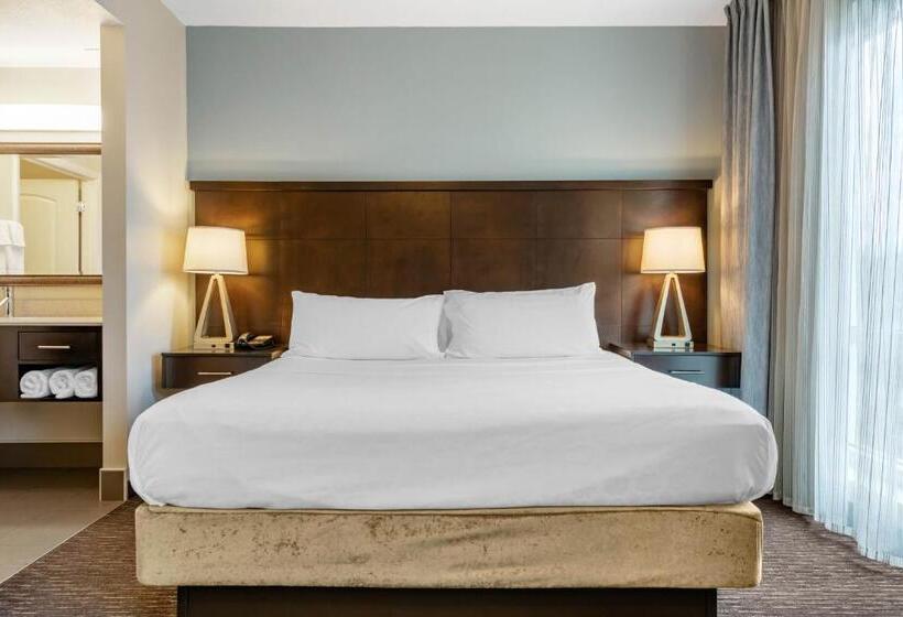 スタンダードルーム, Staybridge Suites St. Petersburg Fl, An Ihg