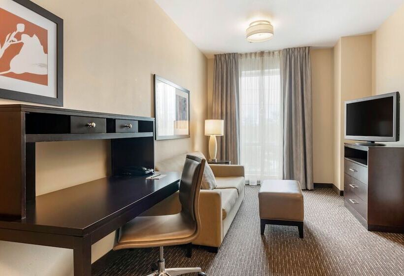 スイート, Staybridge Suites St. Petersburg Fl, An Ihg