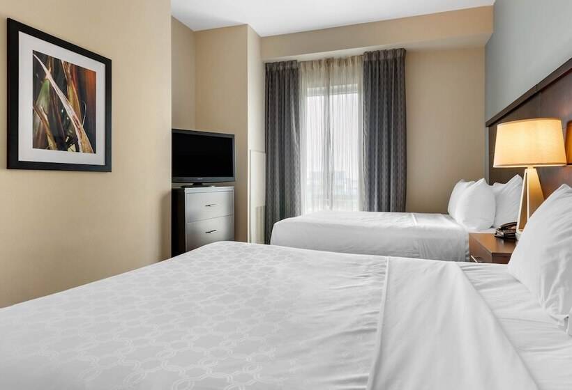 スイート, Staybridge Suites St. Petersburg Fl, An Ihg