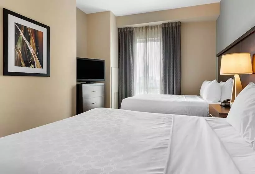 スイート, Staybridge Suites St. Petersburg Fl, An Ihg