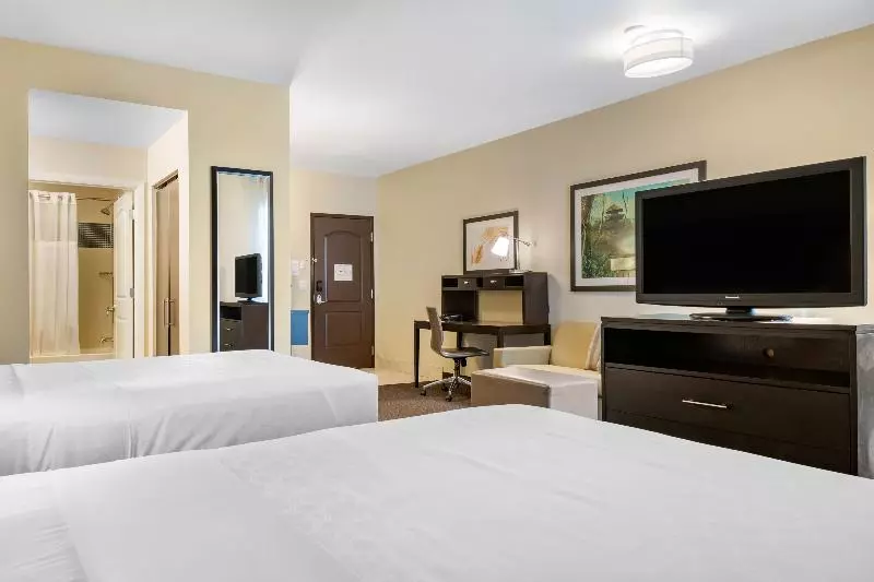 スタンダードルーム, Staybridge Suites St. Petersburg Fl, An Ihg