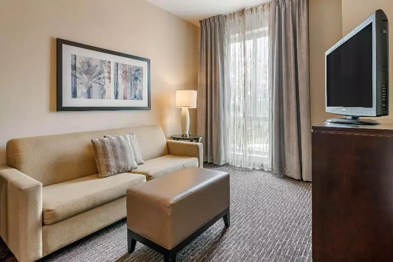 スタンダードルーム, Staybridge Suites St. Petersburg Fl, An Ihg