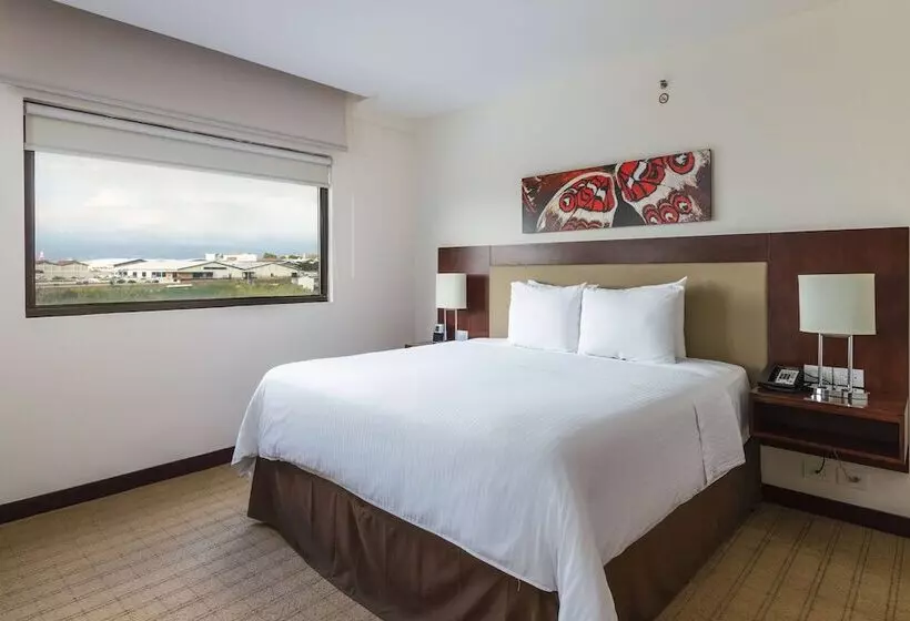 身障者適用スタンダードルーム, Wyndham Garden San Jose Escazu, Costa Rica