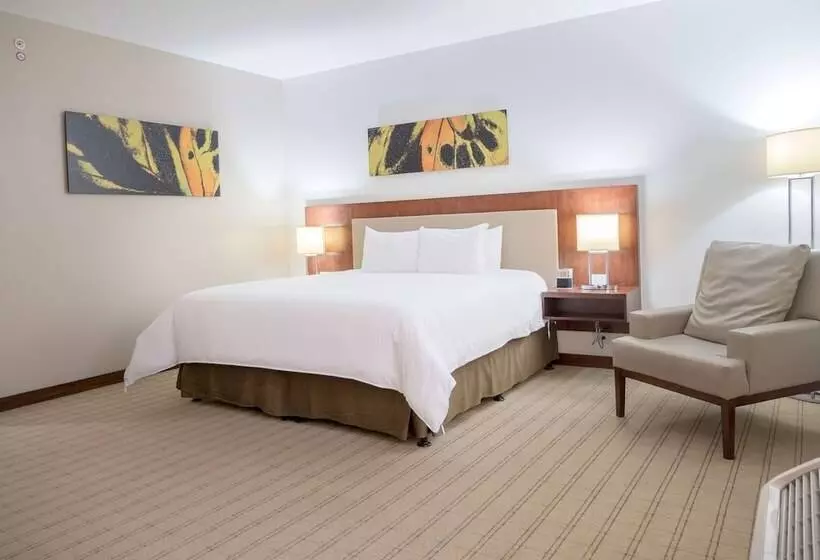 身障者適用スタンダードルーム, Wyndham Garden San Jose Escazu, Costa Rica