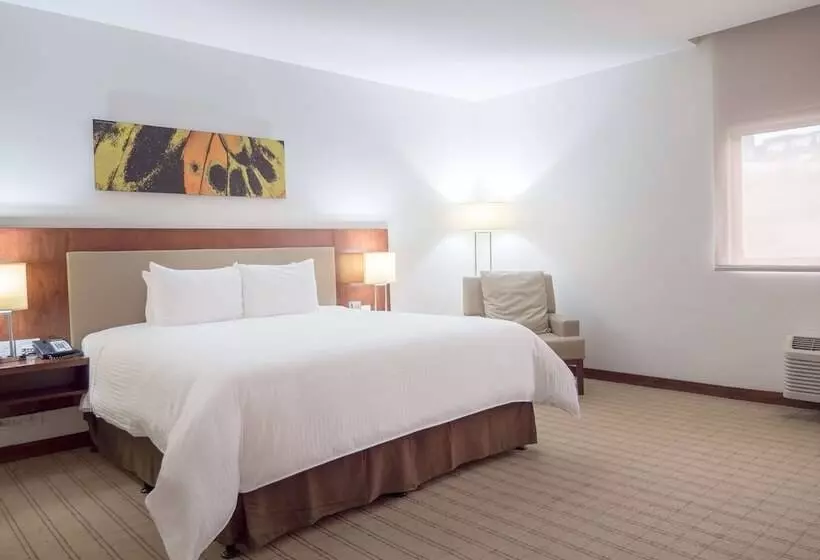 身障者適用スタンダードルーム, Wyndham Garden San Jose Escazu, Costa Rica