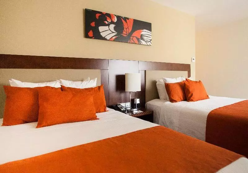 スタンダードルーム, Wyndham Garden San Jose Escazu, Costa Rica