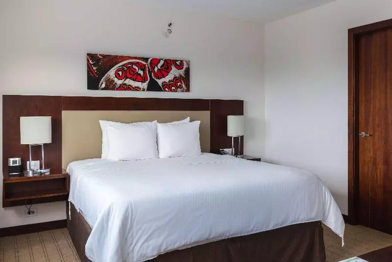 キングサイズベッドのスタンダードルーム, Wyndham Garden San Jose Escazu, Costa Rica