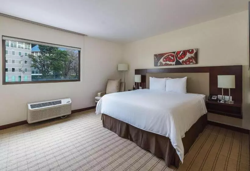 キングサイズベッドのスタンダードルーム, Wyndham Garden San Jose Escazu, Costa Rica