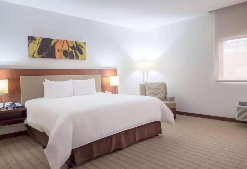 キングサイズベッドのスタンダードルーム, Wyndham Garden San Jose Escazu, Costa Rica