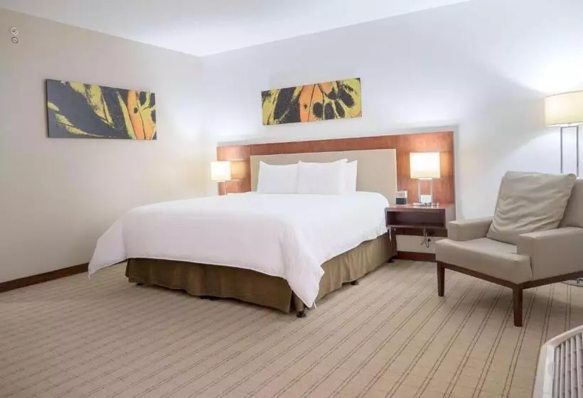 キングサイズベッドのスタンダードルーム, Wyndham Garden San Jose Escazu, Costa Rica