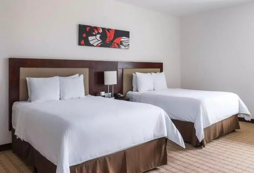 スタンダードルーム, Wyndham Garden San Jose Escazu, Costa Rica