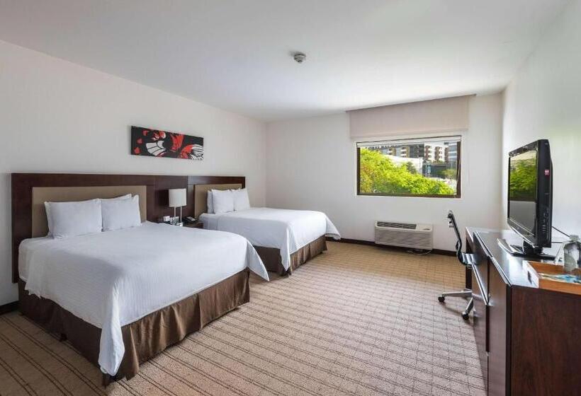 标准间, Wyndham Garden San Jose Escazu, Costa Rica