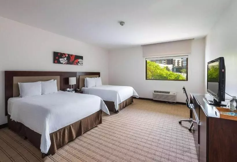 スタンダードルーム, Wyndham Garden San Jose Escazu, Costa Rica