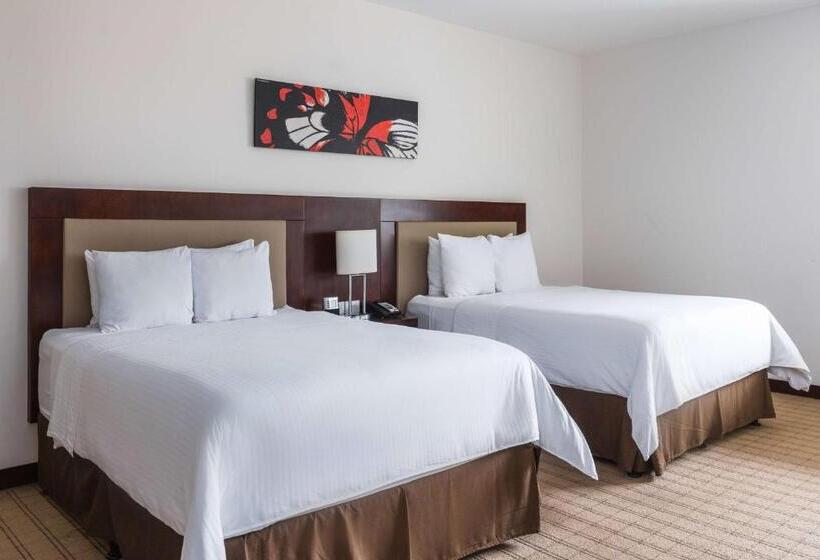 适合残疾人使用的标准间, Wyndham Garden San Jose Escazu, Costa Rica