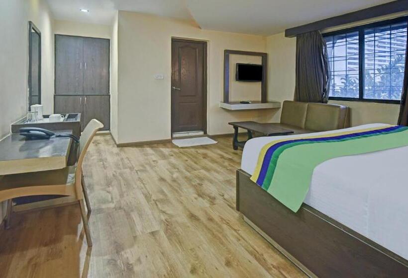 Quarto Estandar, Treebo Savoury Sea Shell Residency