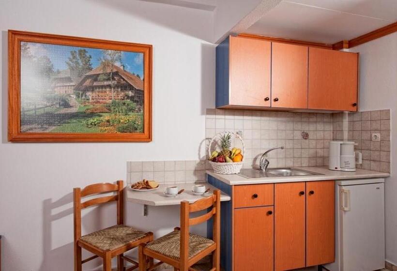 סטודיו סטנדרט עם נוף, Vlachakis