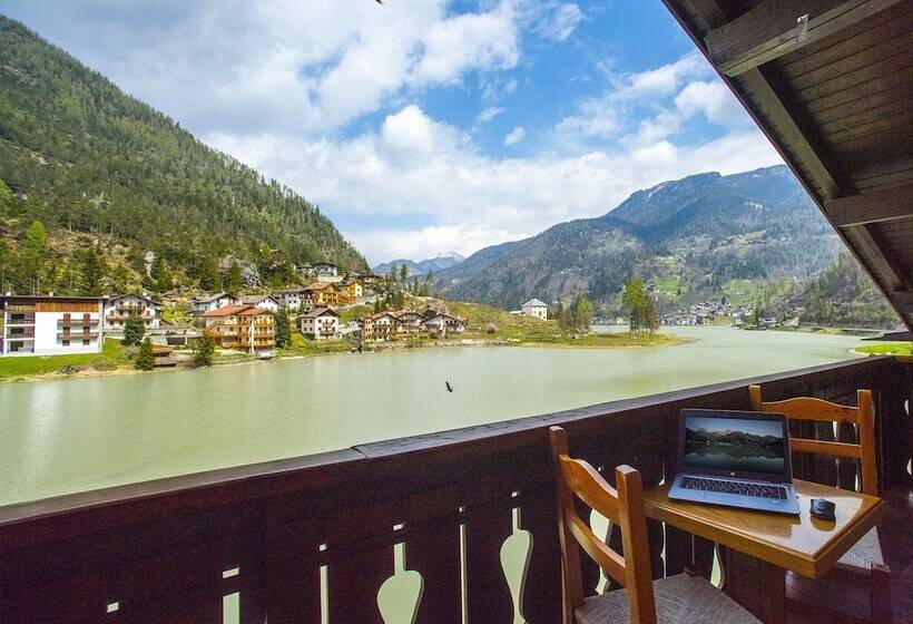 غرفة قياسية, Adriana