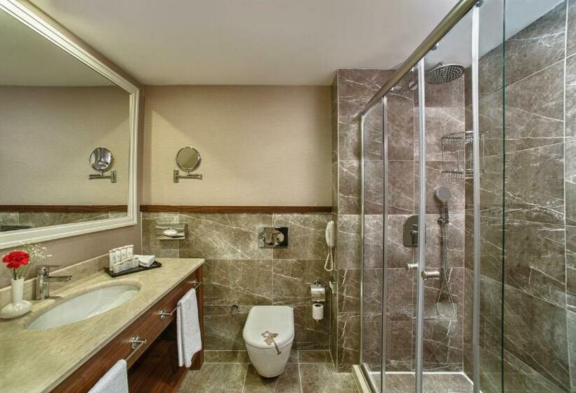 اتاق استاندارد با چشم‌انداز, Aska Lara Resort & Spa