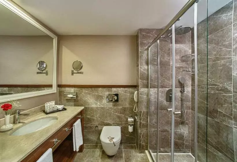 اتاق استاندارد با چشم‌انداز استخر, Aska Lara Resort & Spa