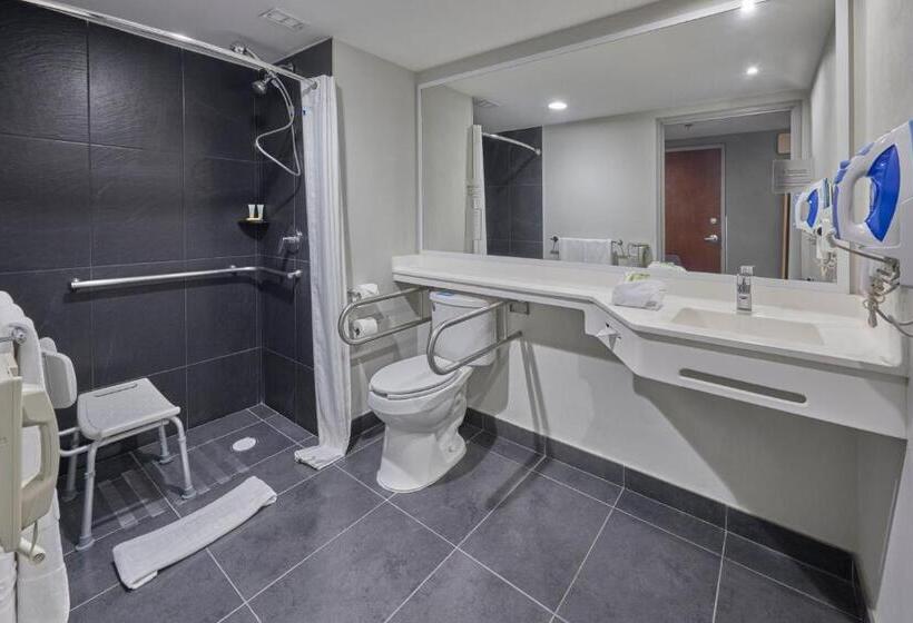 חדר סטנדרט, City Express By Marriott Irapuato Norte