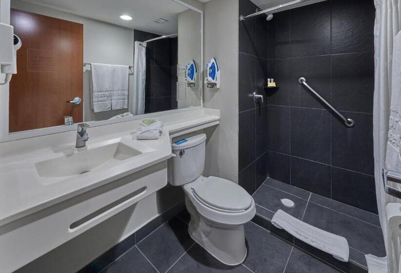 חדר סטנדרט, City Express By Marriott Irapuato Norte
