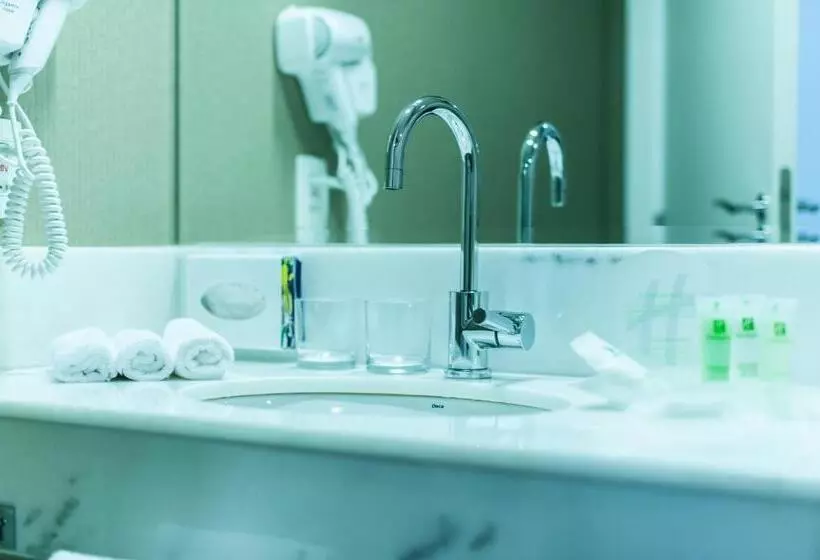 ２ダブルベッドのスタンダードルーム, Holiday Inn Belo Horizonte Savassi, An Ihg