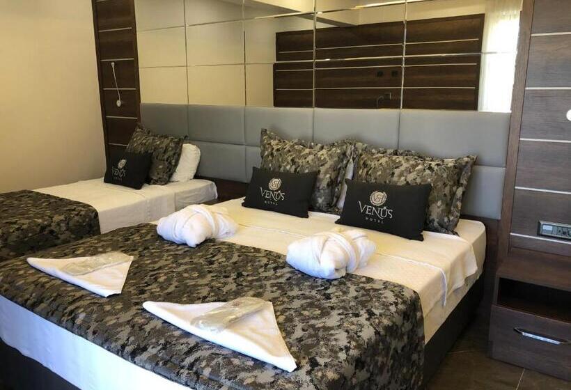 스탠다드 트리플 룸, Venus