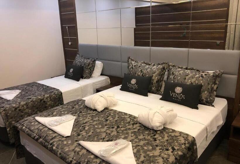 스탠다드 룸, Venus