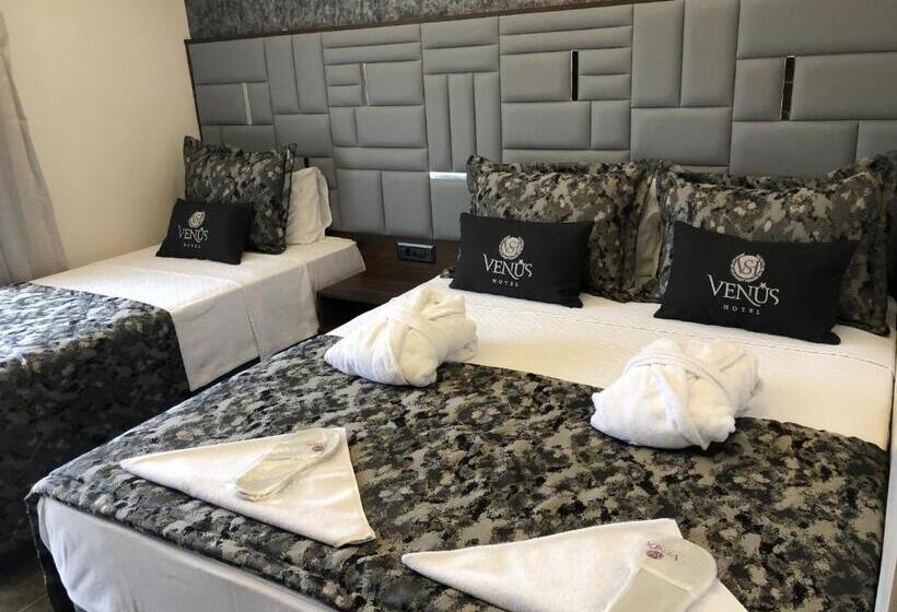 스탠다드 룸, Venus