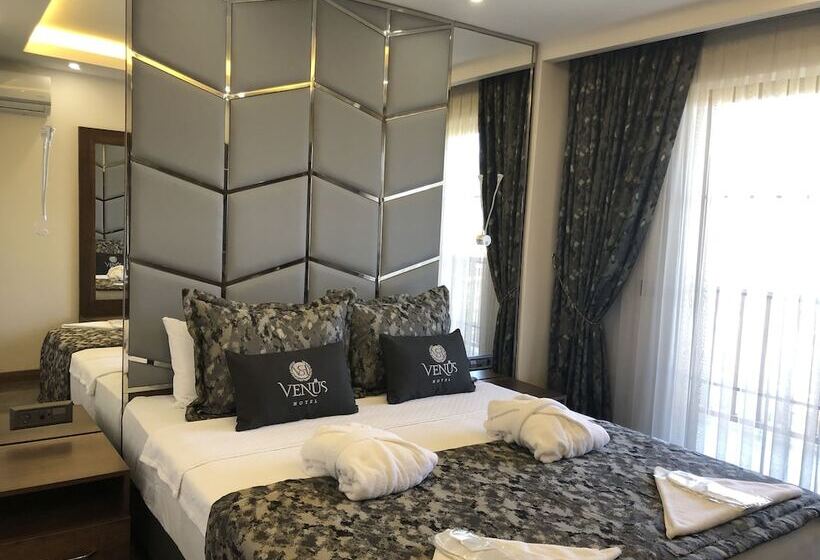 스탠다드 룸, Venus