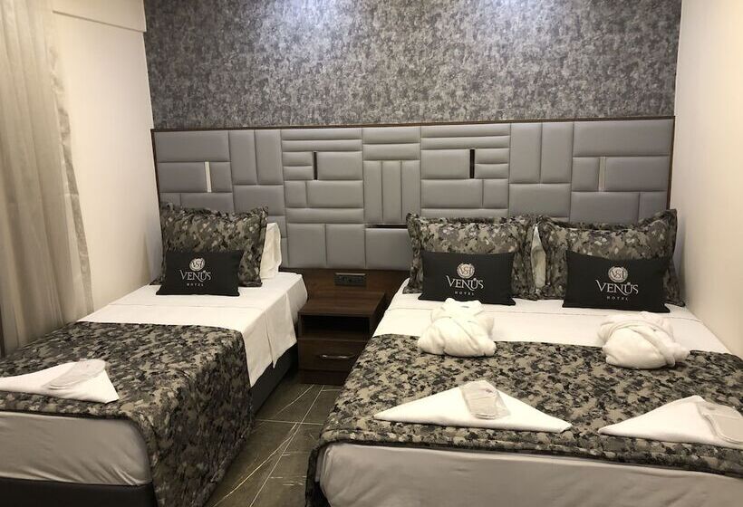 스탠다드 트리플 룸, Venus
